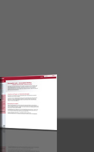 Stryker Deutschland CMS Screenshot